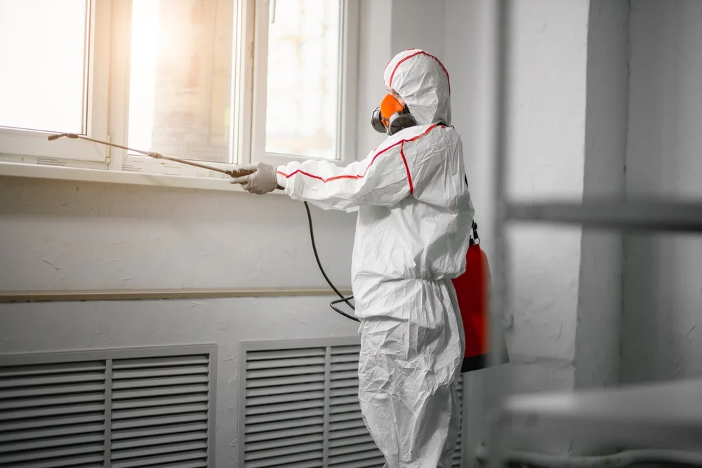 Professional mold remediation services in Sumrall, MS